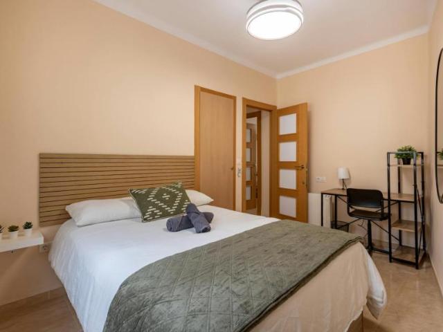 Alquiler 1 Dormitorio Shared Living/Roommate Granada Granada DLS101839155