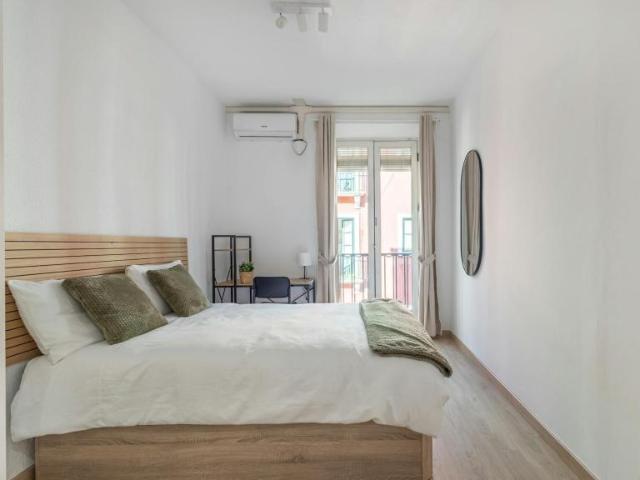 Alquiler 1 Dormitorio Shared Living/Roommate Granada Granada DLS101343408