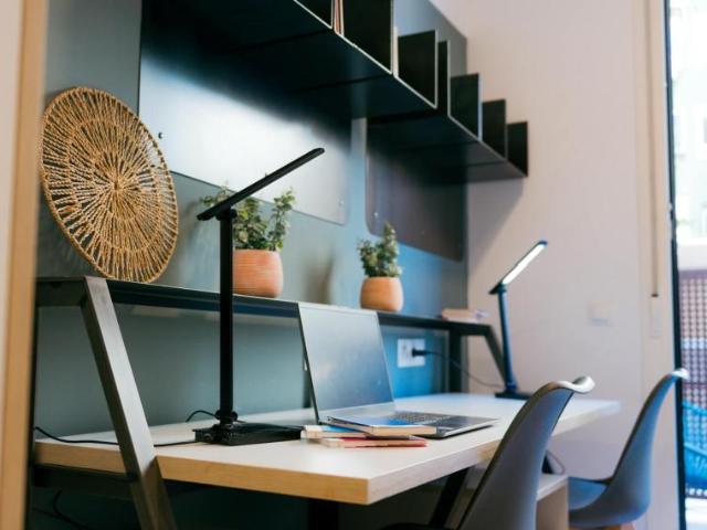 Alquiler 1 Dormitorio Shared Living/Roommate Granada Granada DLS102852185