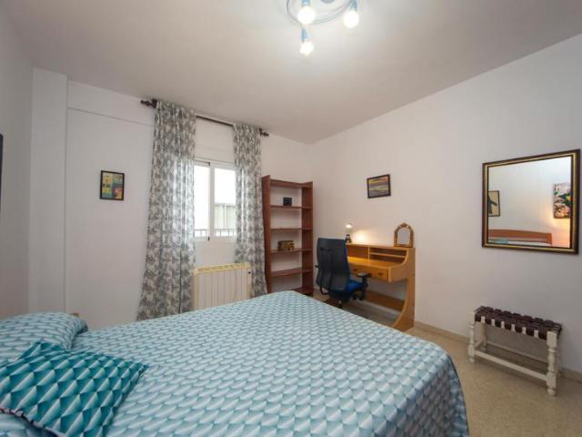 Alquiler 1 Dormitorio Shared Living/Roommate Granada Granada DS100714272
