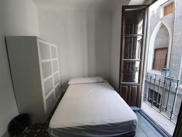 Alquiler 1 Dormitorio Shared Living/Roommate Granada Granada DS100732504