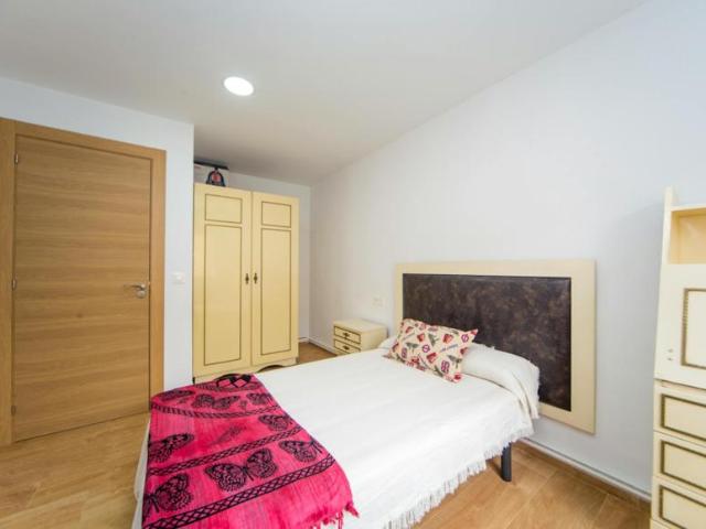 Alquiler 1 Dormitorio Shared Living/Roommate Granada Granada DS101269524