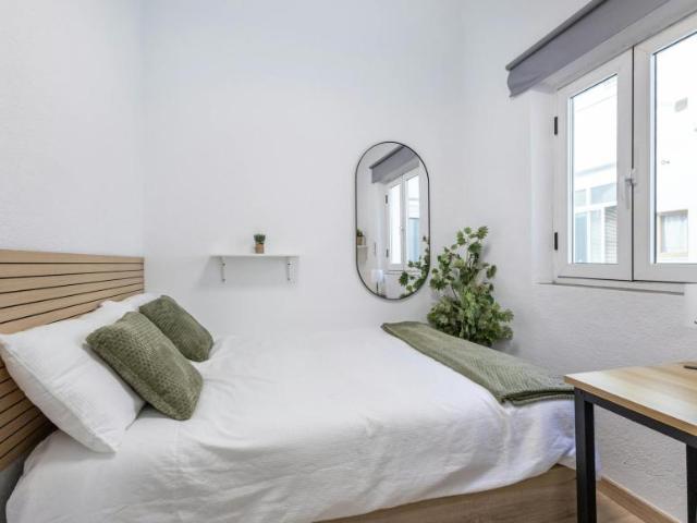 Alquiler 1 Dormitorio Shared Living/Roommate Granada Granada DS101842691
