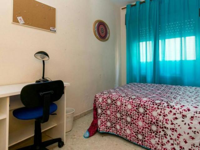 Alquiler 1 Dormitorio Shared Living/Roommate Granada Granada DS101848702