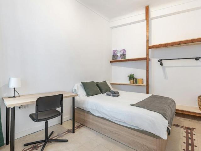 Alquiler 1 Dormitorio Shared Living/Roommate Granada Granada DS101849789