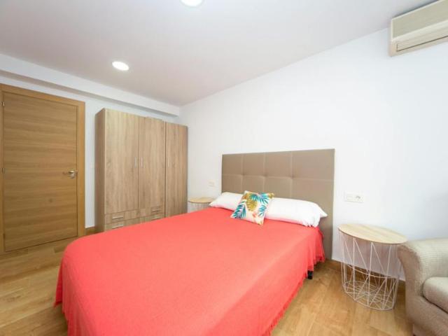 Alquiler 1 Dormitorio Shared Living/Roommate Granada Granada DS101838860