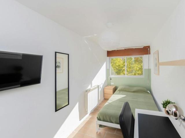 Alquiler 1 Dormitorio Shared Living/Roommate Granada Granada DS102753687