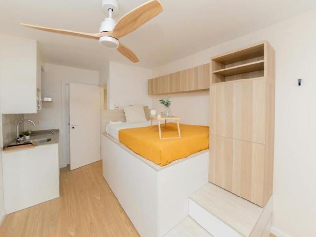 Alquiler 1 Dormitorio Shared Living/Roommate Granada Granada DS102716869