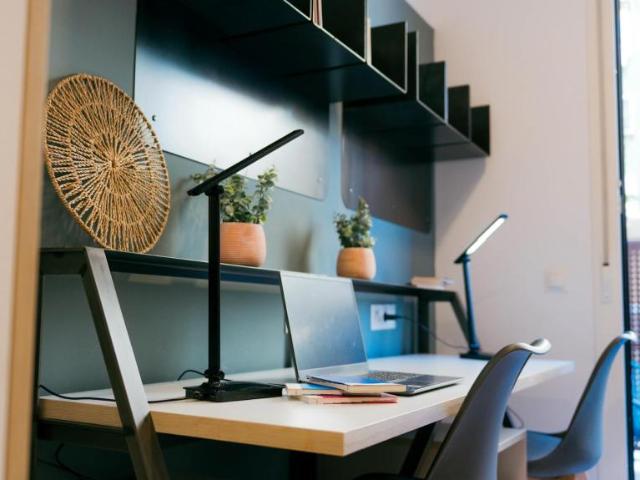 Alquiler 1 Dormitorio Shared Living/Roommate Granada Granada DS102852177