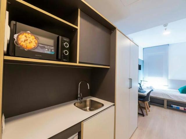 Alquiler 1 Dormitorio Shared Living/Roommate Granada Granada DS102852175