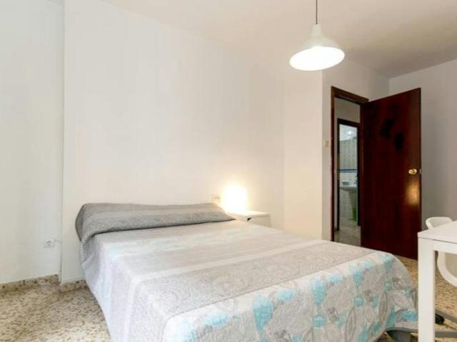 Alquiler 1 Dormitorio Shared Living/Roommate Granada Granada DS102856588