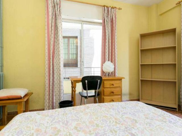 Alquiler 1 Dormitorio Shared Living/Roommate Granada Granada DS102856597