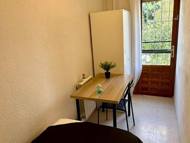 Alquiler 1 Dormitorio Shared Living/Roommate Granada Granada DS102885048