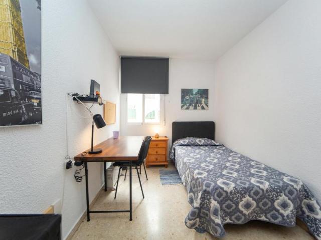 Alquiler 1 Dormitorio Shared Living/Roommate Granada Granada DS103654388