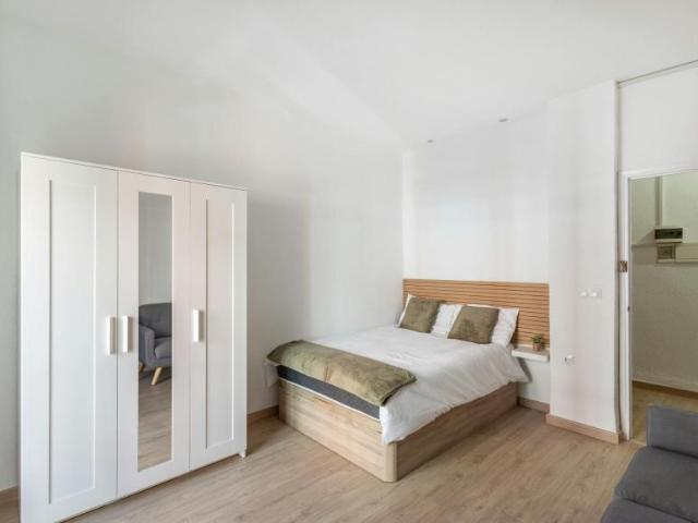 Alquiler 1 Dormitorio Shared Living/Roommate Granada Granada DS103613237