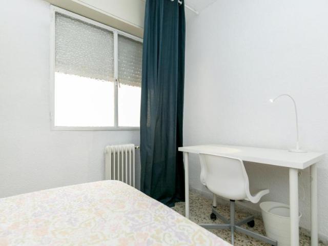 Alquiler 1 Dormitorio Shared Living/Roommate Granada Granada DS103923493