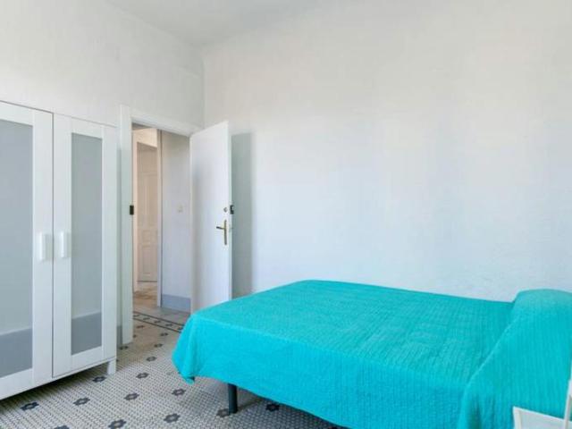 Alquiler 1 Dormitorio Shared Living/Roommate Granada Granada DS103923498