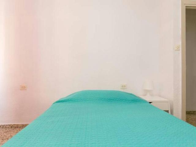 Alquiler 1 Dormitorio Shared Living/Roommate Granada Granada DS103923551