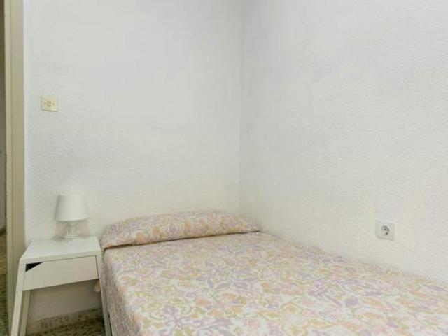 Alquiler 1 Dormitorio Shared Living/Roommate Granada Granada DS103923556