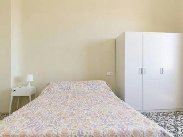 Alquiler 1 Dormitorio Shared Living/Roommate Granada Granada DS103923573