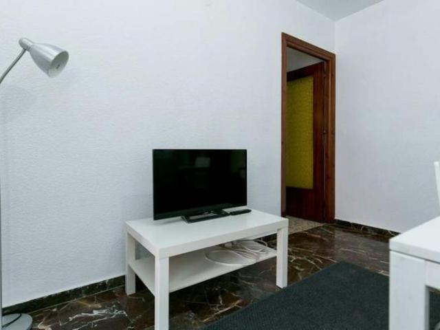 Alquiler 1 Dormitorio Shared Living/Roommate Granada Granada DS103923576