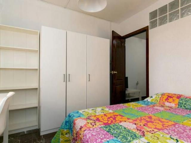 Alquiler 1 Dormitorio Shared Living/Roommate Granada Granada DS103923529