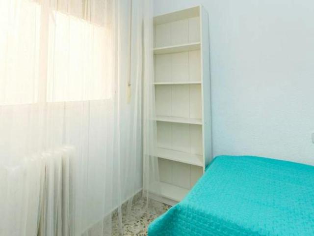 Alquiler 1 Dormitorio Shared Living/Roommate Granada Granada DS103923533