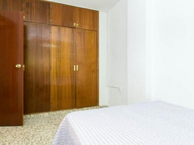 Alquiler 1 Dormitorio Shared Living/Roommate Granada Granada DS103923531