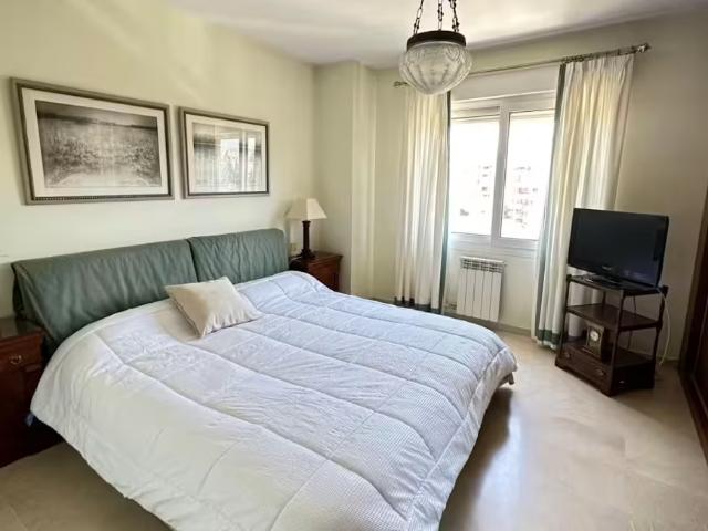 Alquiler 1 Dormitorio Shared Living/Roommate Granada Granada DS96120672