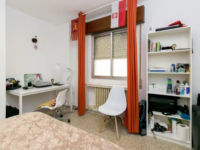 Alquiler 1 Dormitorio Shared Living/Roommate Granada Granada DS96743999