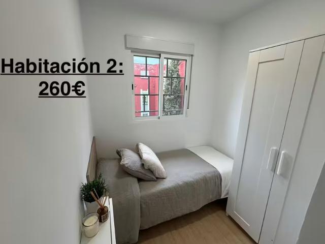 Alquiler 1 Dormitorio Shared Living/Roommate Granada Granada DS97813277