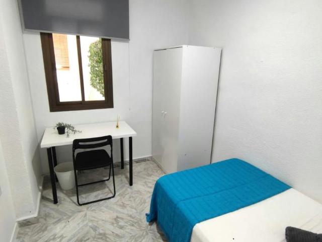 Alquiler 1 Dormitorio Shared Living/Roommate Granada Granada DS99119819