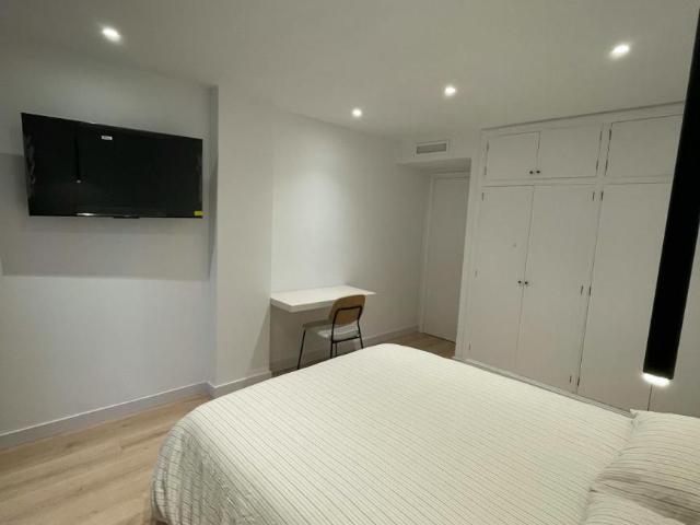Alquiler 1 Dormitorio Shared Living/Roommate Ibiza Ibiza DLS88952500