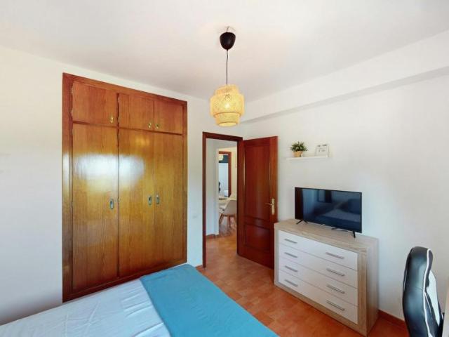 Alquiler 1 Dormitorio Shared Living/Roommate Jerez De La Frontera Jerez De La Frontera DLS102854523