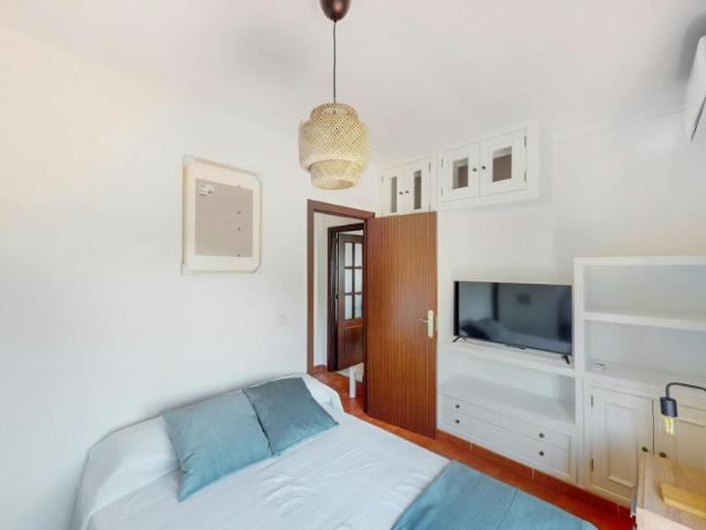 Alquiler 1 Dormitorio Shared Living/Roommate Jerez De La Frontera Jerez De La Frontera DLS102854528