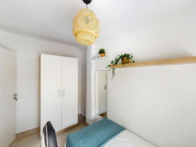 Alquiler 1 Dormitorio Shared Living/Roommate Jerez De La Frontera Jerez De La Frontera DS104564443