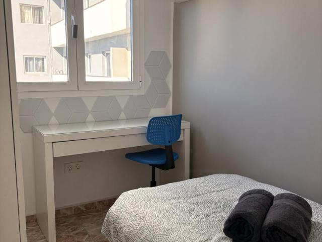 Alquiler 1 Dormitorio Shared Living/Roommate Las Palmas De Gran Canaria Las Palmas De Gran Canaria DS104257735