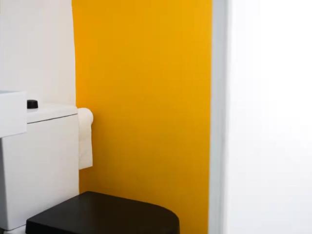 Alquiler 1 Dormitorio Shared Living/Roommate Las Palmas De Gran Canaria Las Palmas De Gran Canaria DS102702950