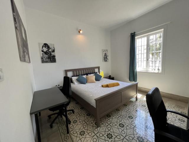 Alquiler 1 Dormitorio Shared Living/Roommate Las Palmas De Gran Canaria Las Palmas De Gran Canaria DS77939670