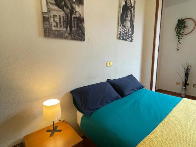 Alquiler 1 Dormitorio Shared Living/Roommate Las Palmas De Gran Canaria Las Palmas De Gran Canaria DS77939742