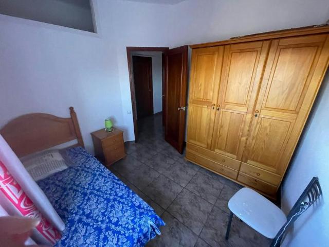 Alquiler 1 Dormitorio Shared Living/Roommate Las Palmas De Gran Canaria Las Palmas De Gran Canaria DS94963175
