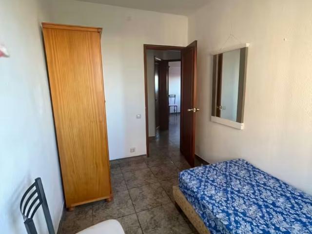 Alquiler 1 Dormitorio Shared Living/Roommate Las Palmas De Gran Canaria Las Palmas De Gran Canaria DS96741017