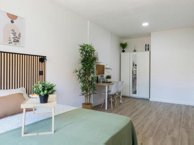 Alquiler 1 Dormitorio Shared Living/Roommate Leganés Leganés DS102847925