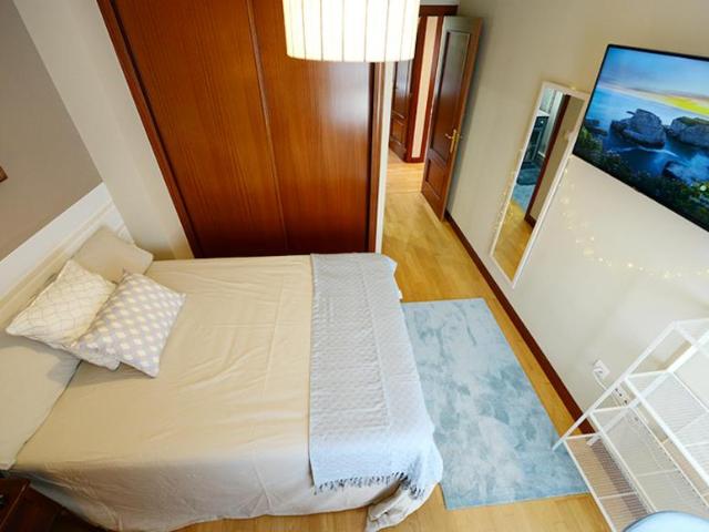 Alquiler 1 Dormitorio Shared Living/Roommate Leioa Leioa DS104784301