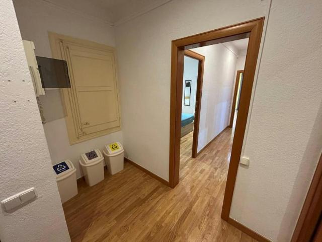 Alquiler 1 Dormitorio Shared Living/Roommate L'Hospitalet De Llobregat L'Hospitalet De Llobregat DLS99634422