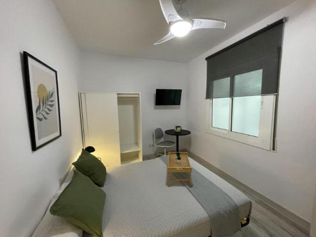 Alquiler 1 Dormitorio Shared Living/Roommate L'Hospitalet De Llobregat L'Hospitalet De Llobregat DS102398923
