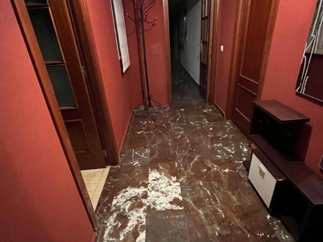 Alquiler 1 Dormitorio Shared Living/Roommate Linares Linares DS101845145