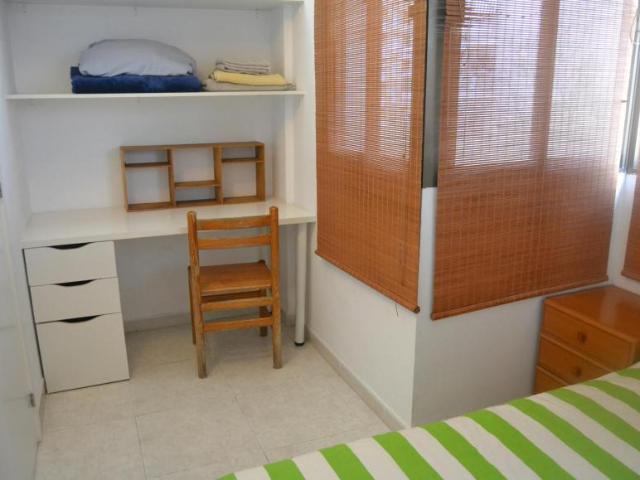 Alquiler 1 Dormitorio Shared Living/Roommate Palma Palma DLS100714492