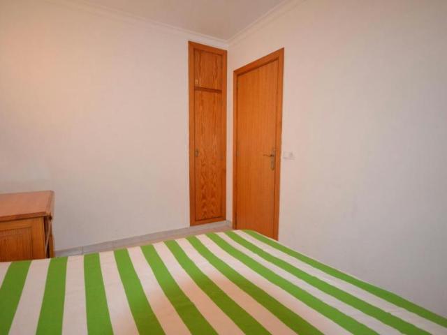 Alquiler 1 Dormitorio Shared Living/Roommate Palma Palma DLS100714494