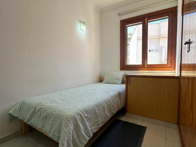 Alquiler 1 Dormitorio Shared Living/Roommate Palma Palma DS102849413